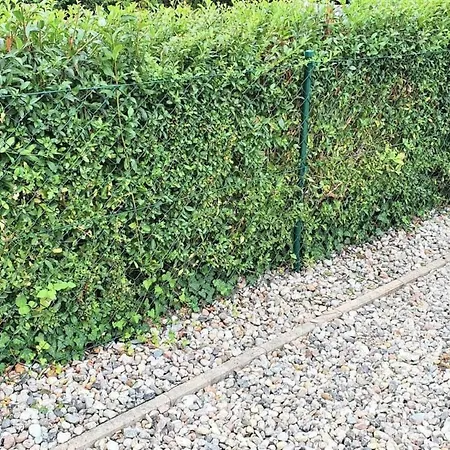 Vakantiehuis Claire Am Klostersee Urlaub Mit Hund By Interhome