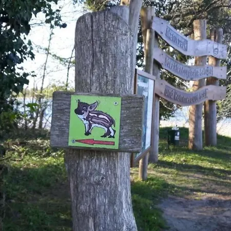 Claire Am Klostersee Urlaub Mit Hund By Interhome Ferienhaus Dargun